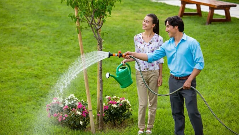 Herpes (HSV 1&2) Antibody Test